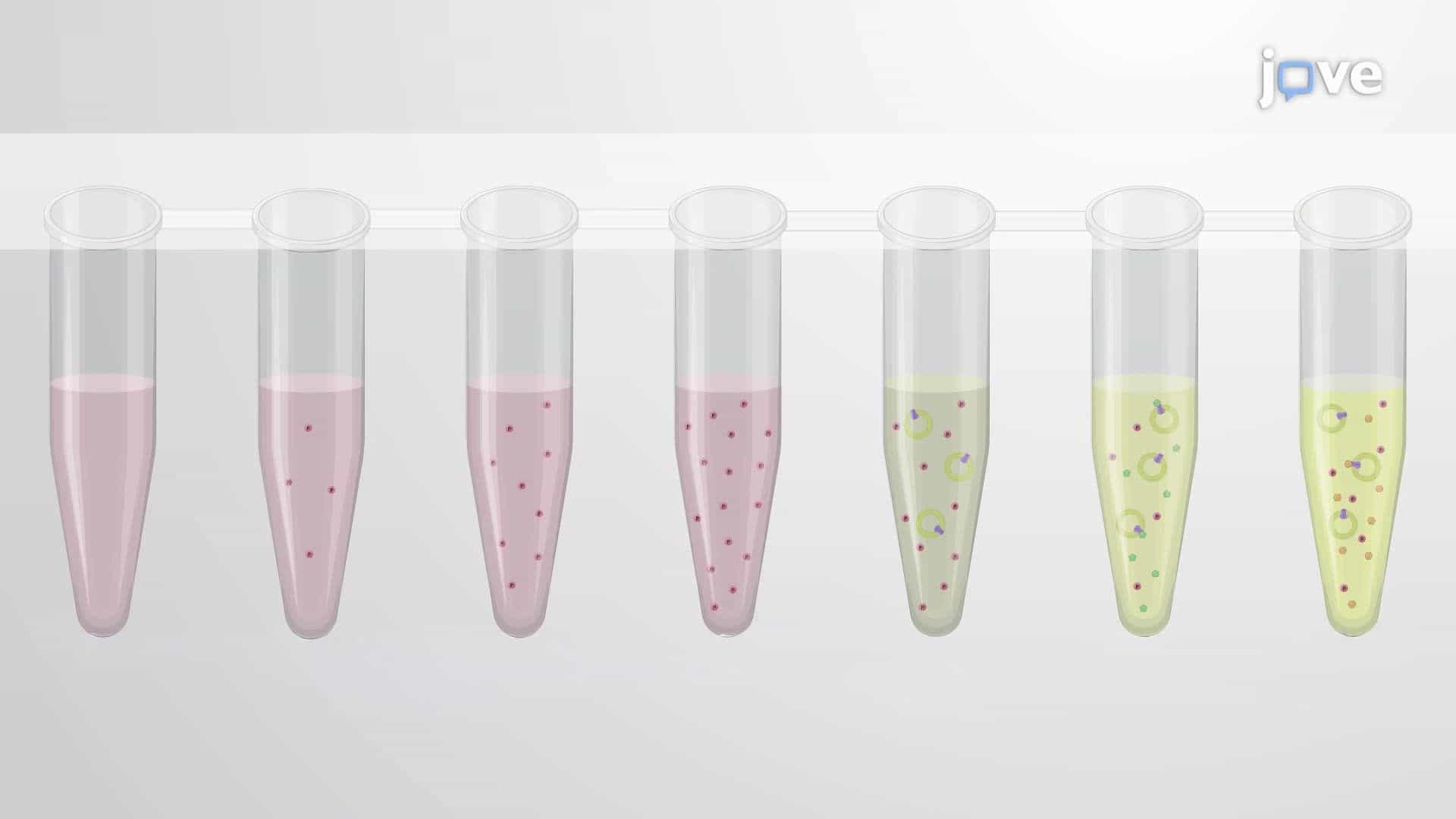 Screening Inhibitors of Bacterial Membrane-Bound Pyrophosphatase Using a Colorimetric Assay