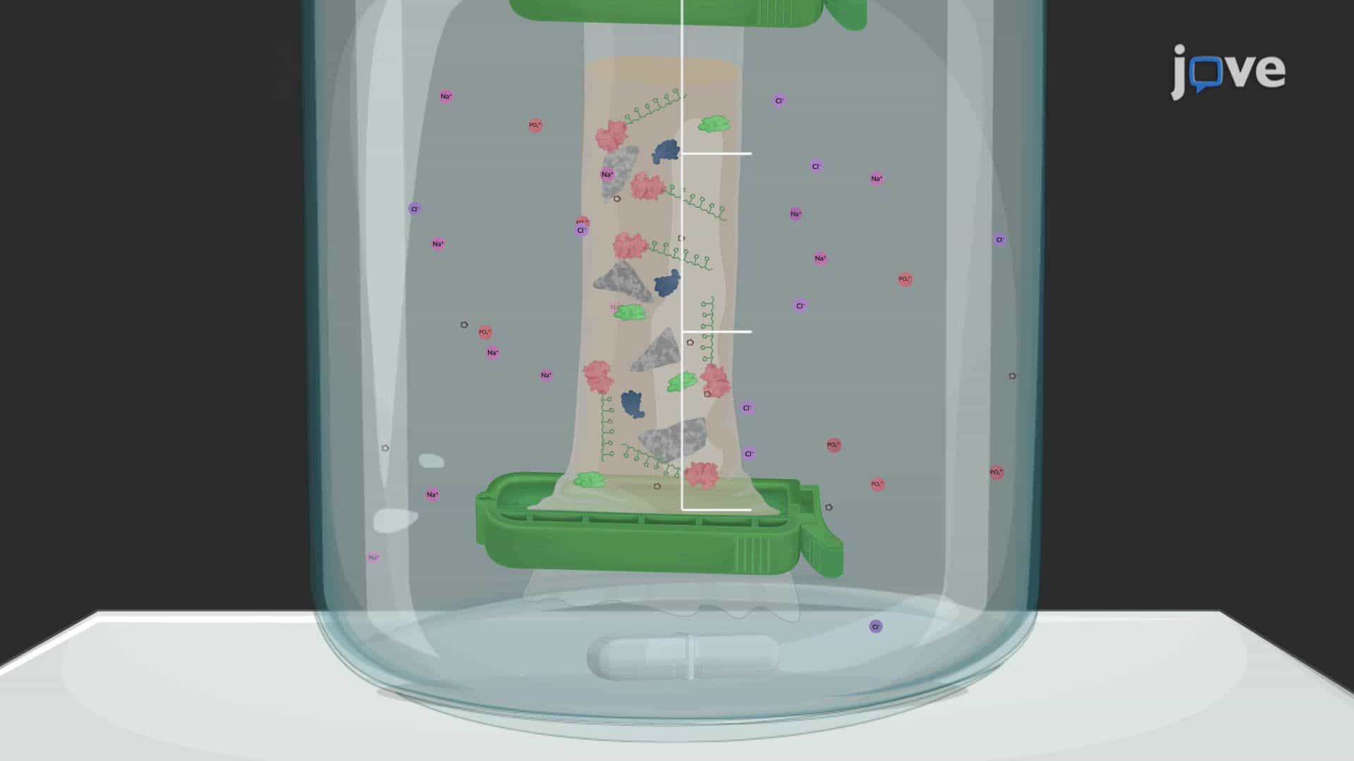 A Procedure for the Purification of a Polyhistidine-Tagged Protein from Streptococcus mutans