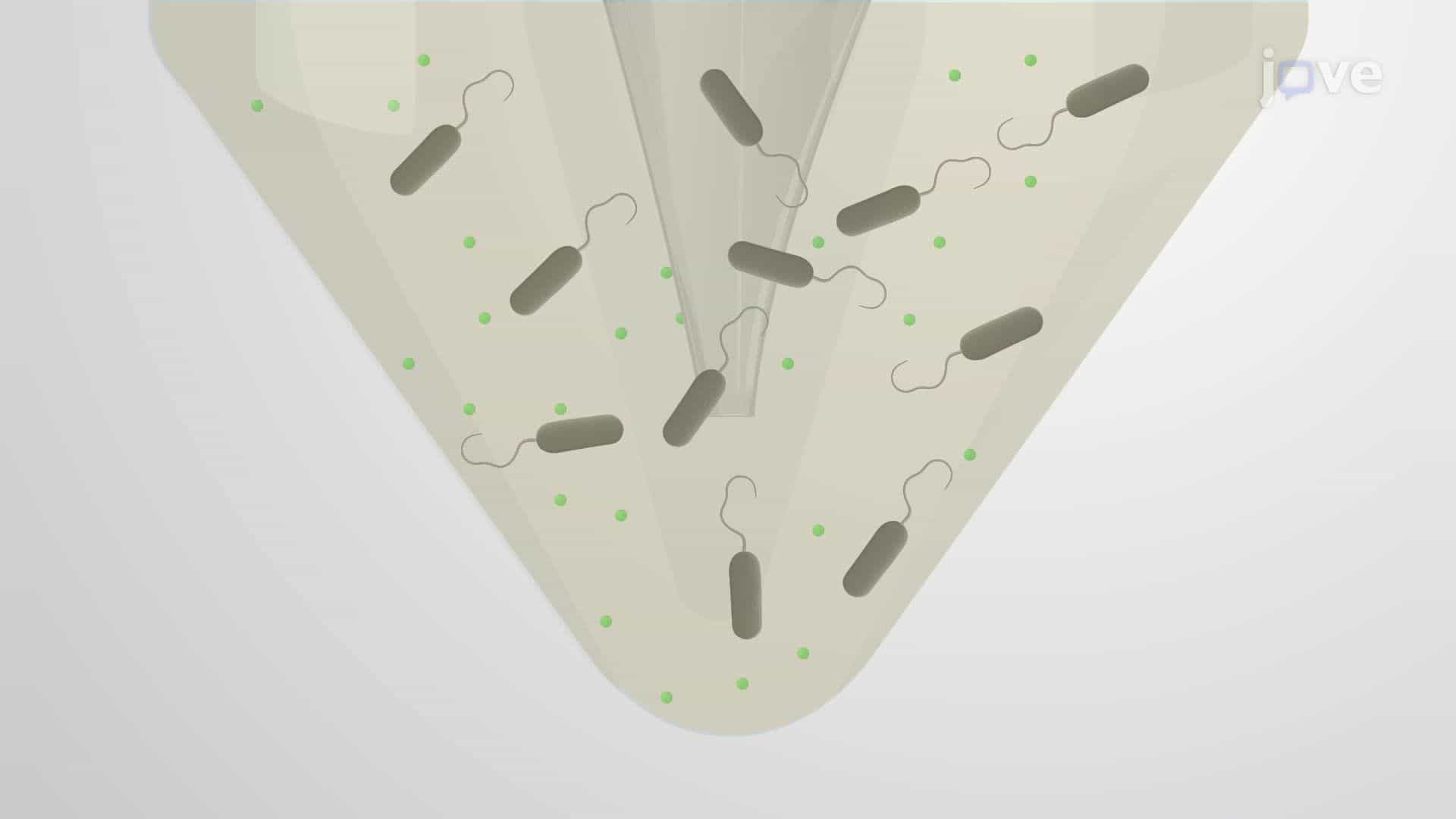 Synthesis of Metal Oxide Microcapsules Using Metal-Reducing Bacteria