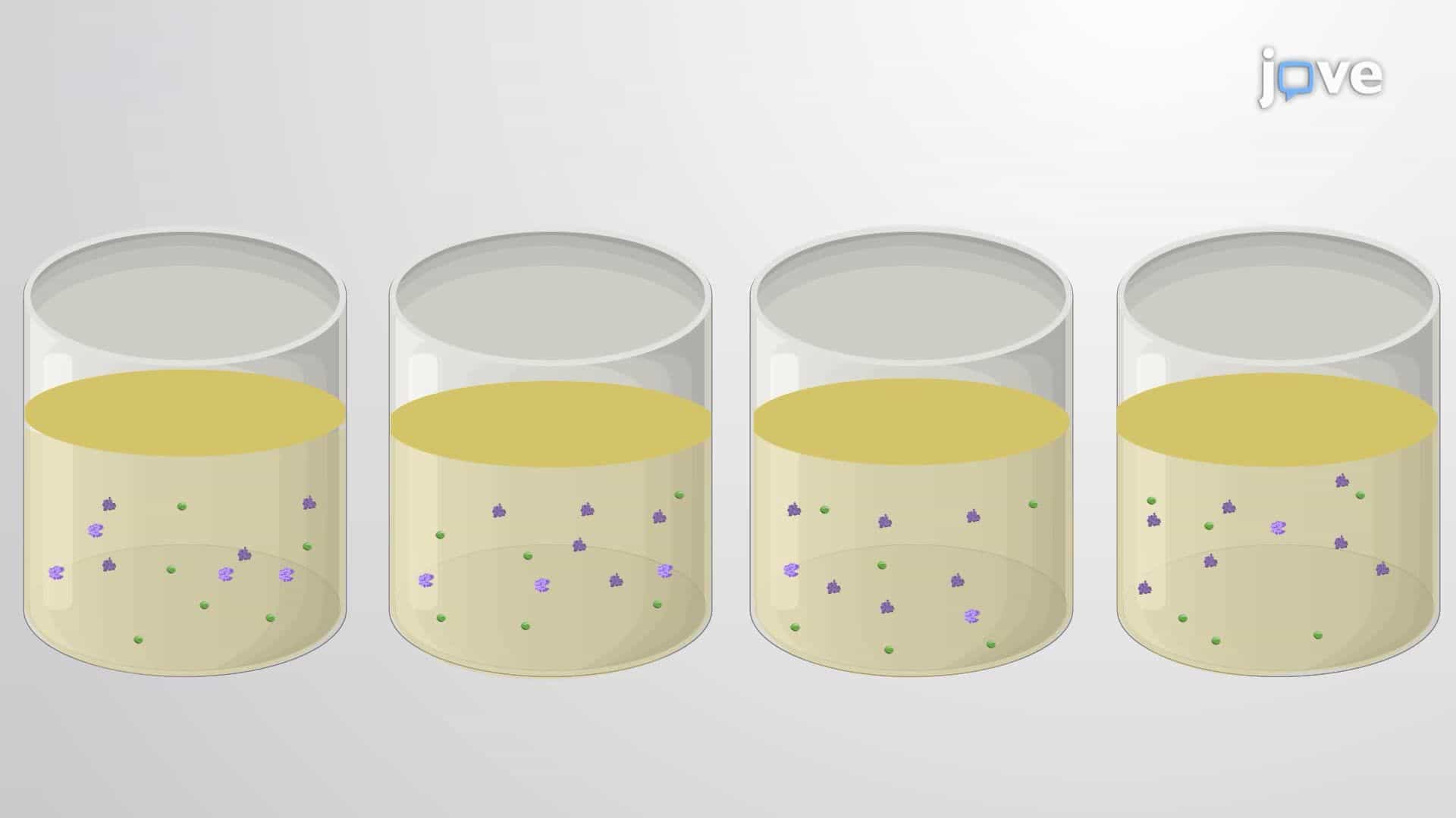 Measuring Mycobacterium smegmatis Mistranslation Rates Using a GFP/Luciferase Reporter System