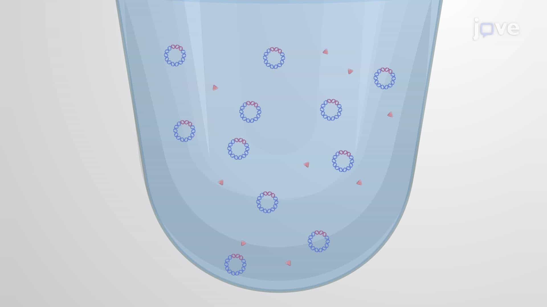 Preparation and Transformation of Bacteria Using High-Voltage Electroporation