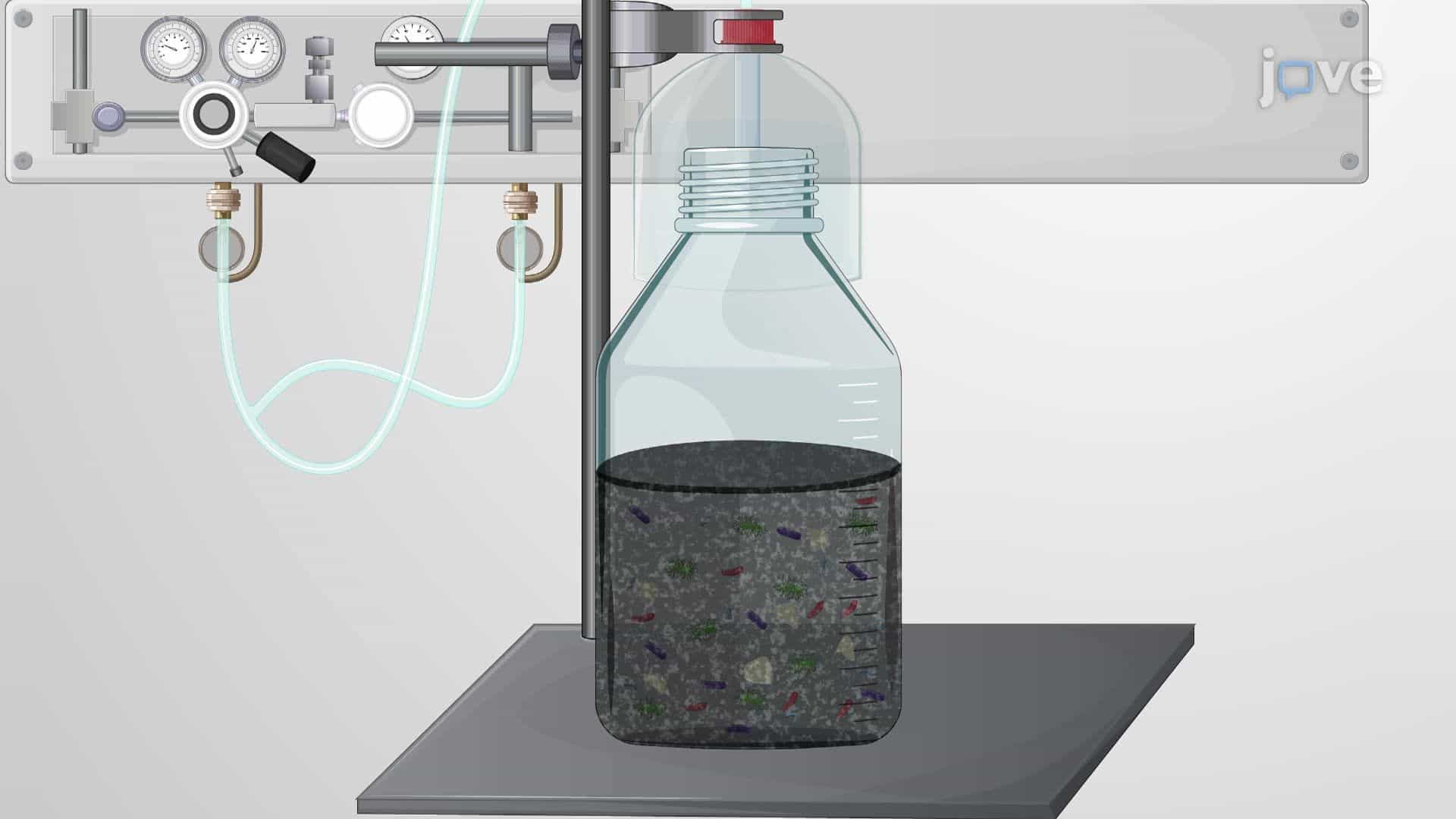 Preparing an Anaerobic Sludge Culture under Oxygen-Free Conditions