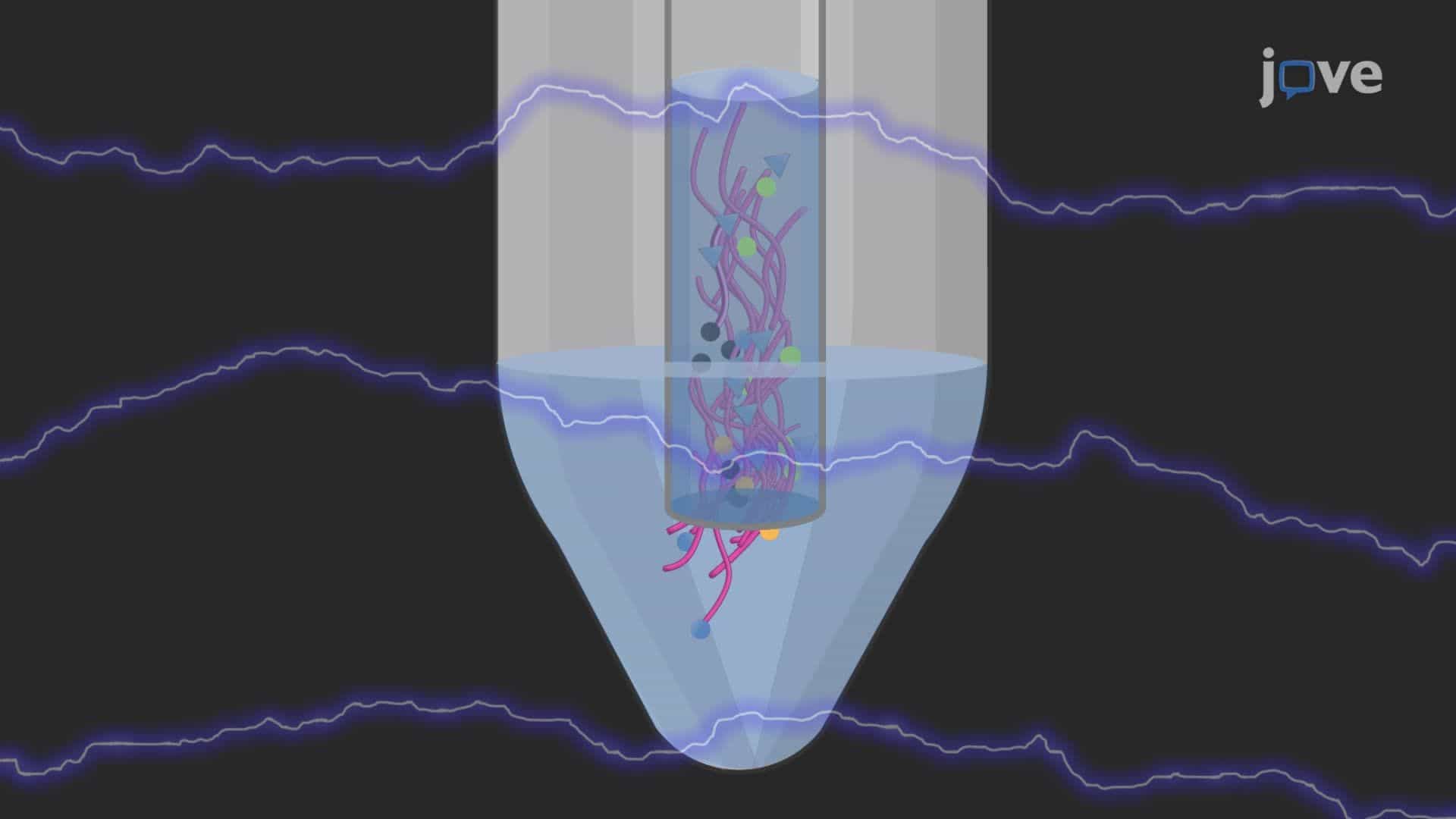 Detection of Fish Pathogens Using Variable Number Tandem Repeat (VNTR) Analysis