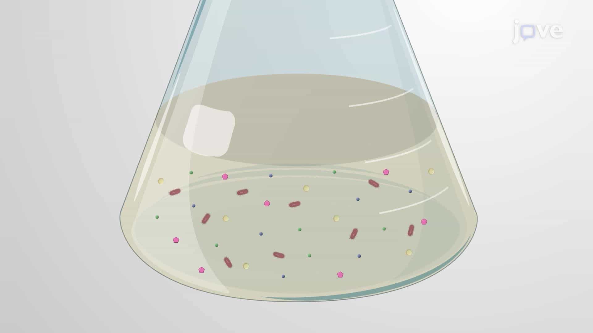 Microaerobic Fermentation of Bamboo Hydrolysate by Klebsiella pneumoniae