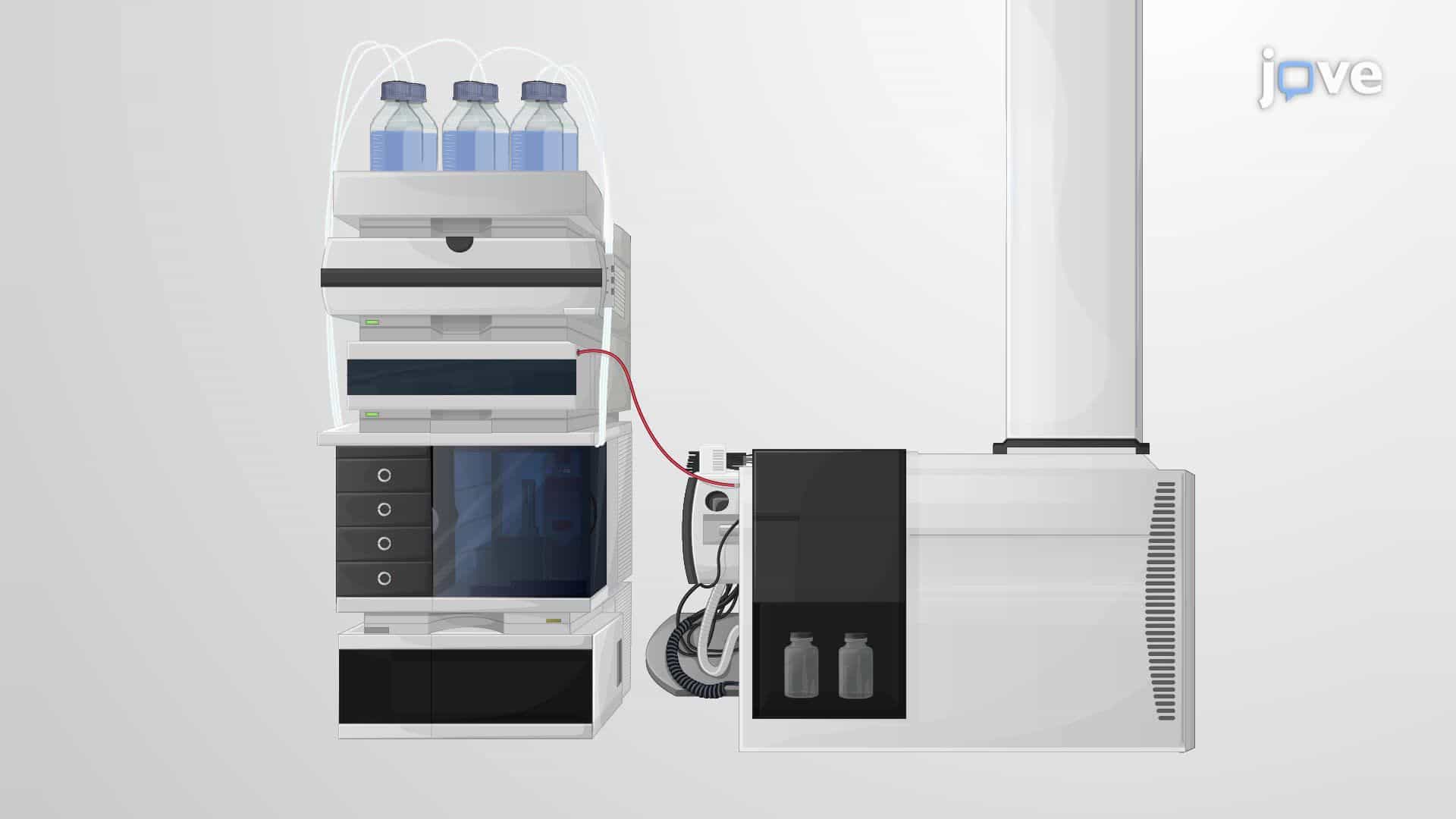 A Liquid Chromatography–Mass Spectrometry-Based Approach for Analyzing Metabolites from S. aureus