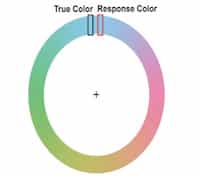 The Precision of Visual Working Memory with Delayed Estimation