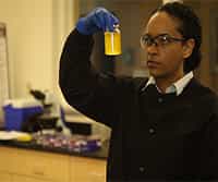 Microbial Indicators and Most Probable Number Analysis for Water Quality