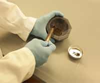 Sonication Extraction of Lipid Biomarkers from Sediment
