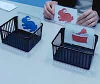 Dimensional Change Card Sort Task and Executive Function in Children