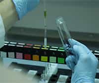 Purification of a Total Lipid Extract with Column Chromatography