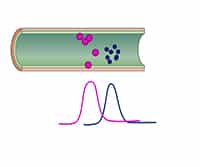 Gas Chromatography GC with Flame-Ionization Detection
