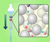 Column Chromatography: Principle, Separation of Compounds from a Mixture