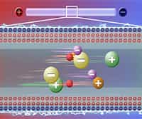 Capillary Electrophoresis: Principle, Procedure and Applications