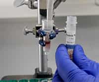 Ion-Exchange Chromatography: Principle and Protein Separation