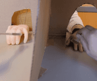 Studying Proprioception Using the Rubber Hand Illusion