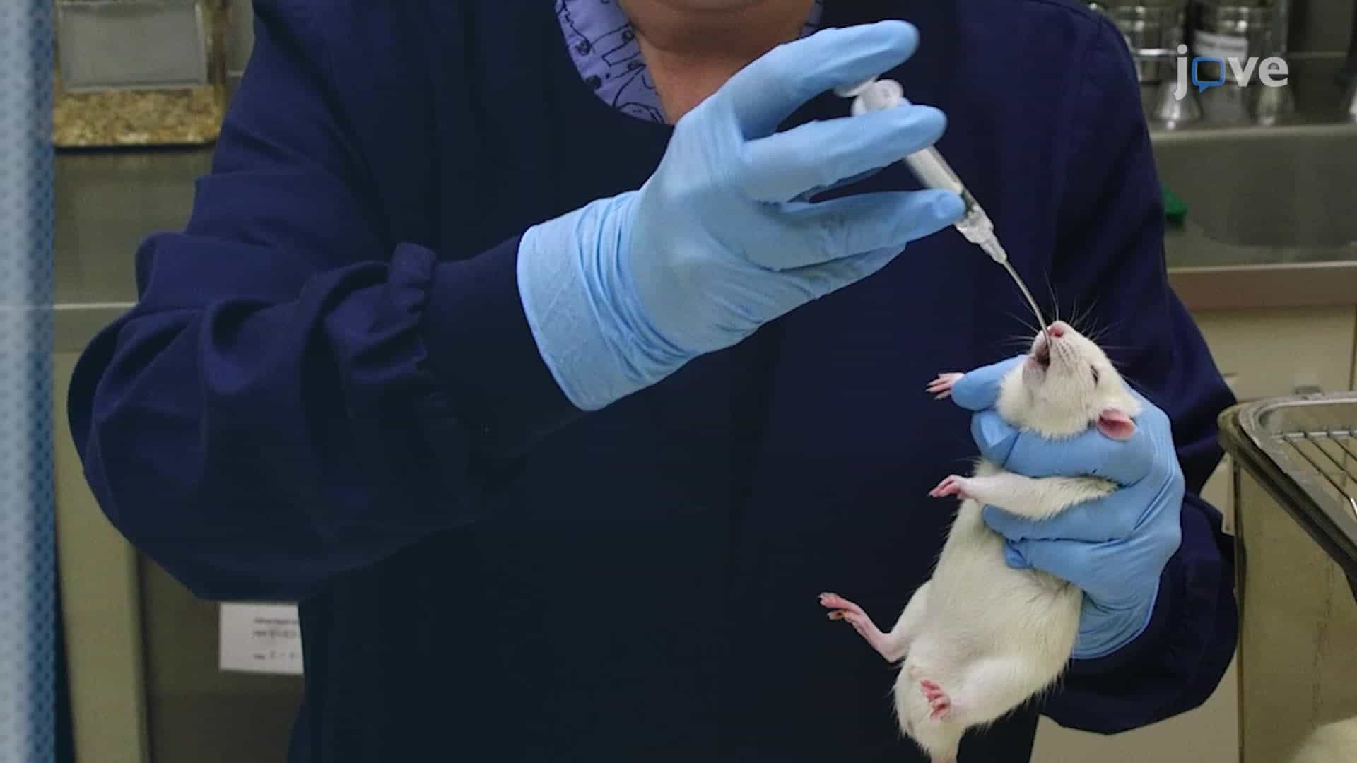 Compound Administration in Rodents- Oral and Topical Routes