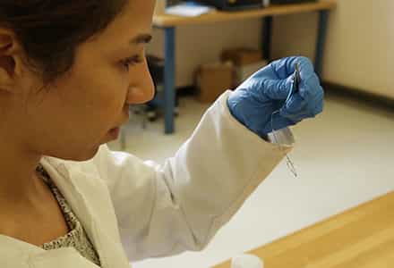 Tensile Strength and Loss Profile of Resorbable Biomaterials