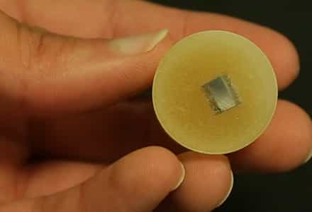 Directional Solidification, Phase Stabilization and Polishing