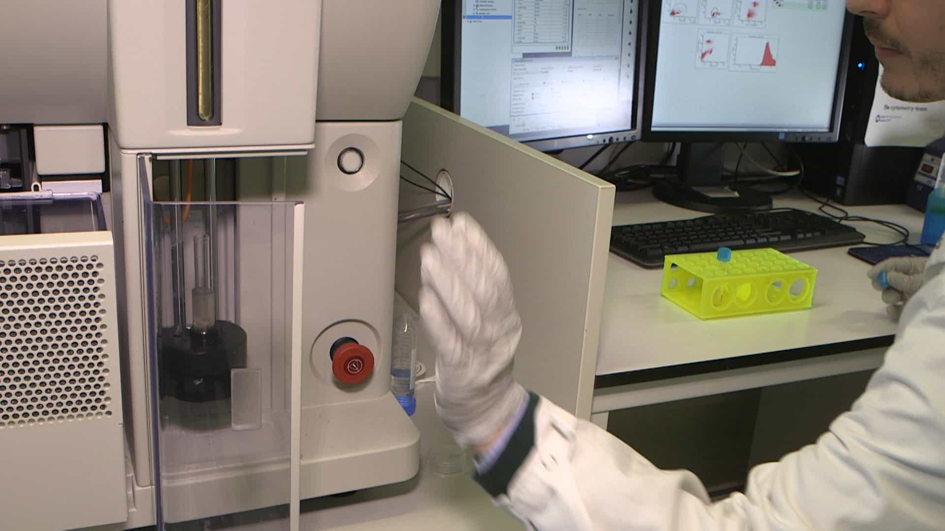Cell Cycle Analysis: Assessing CD4 and CD8 T Cell Proliferation