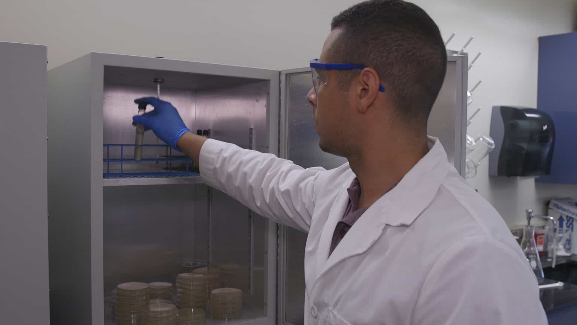 Serial Dilutions and Plating: Microbial Enumeration
