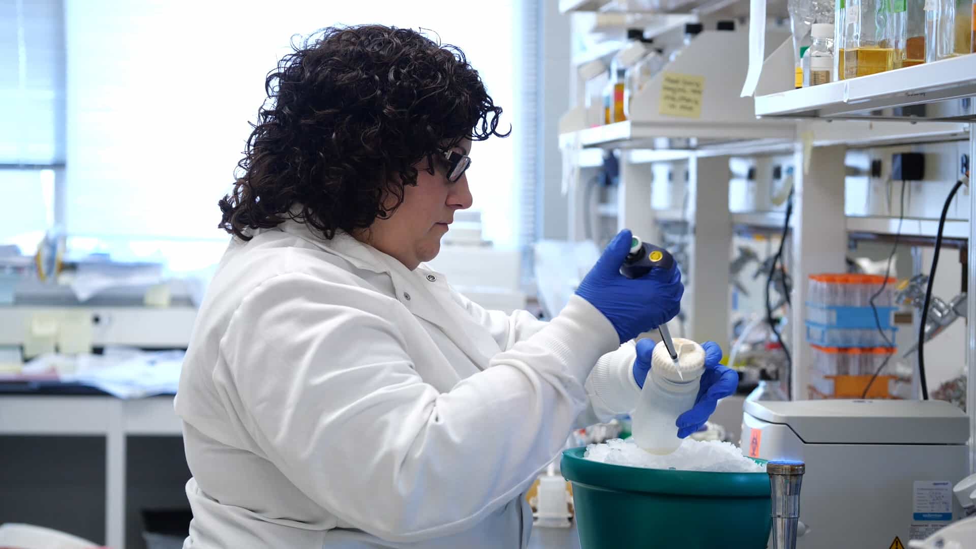 Transformation of E. coli: Adapted Calcium Chloride Procedure