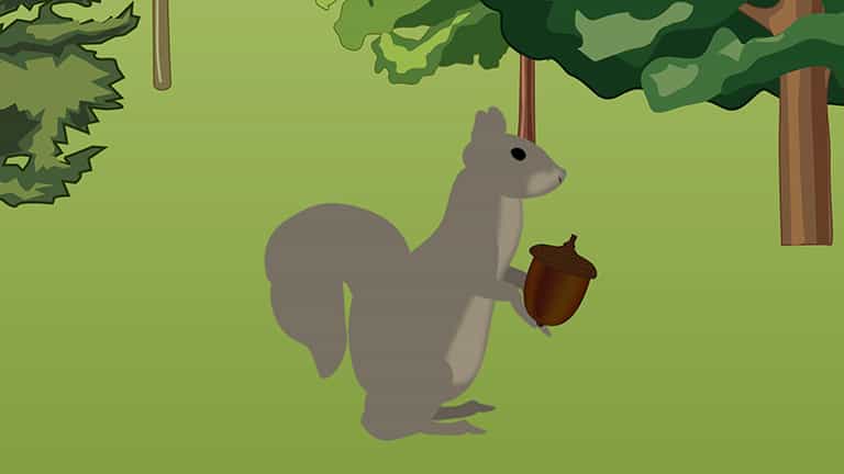 Optimal Foraging: Foraging with Artificial Habitats and Prey - Concept