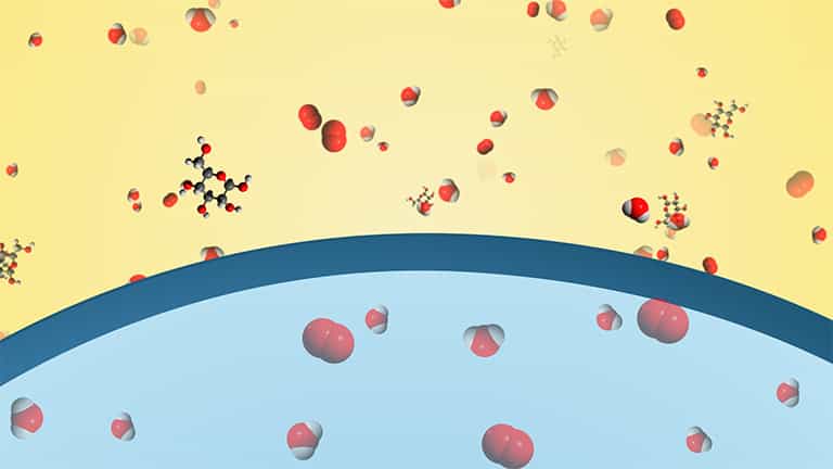 Diffusion and Osmosis