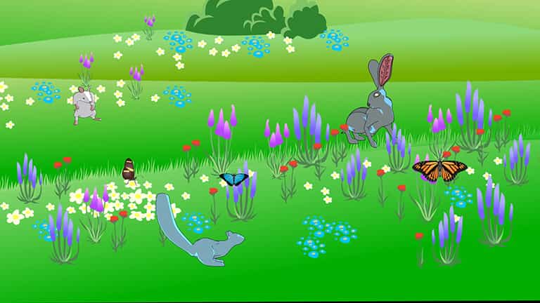 Community Diversity: Measuring Biodiversity in Different Areas - Prep