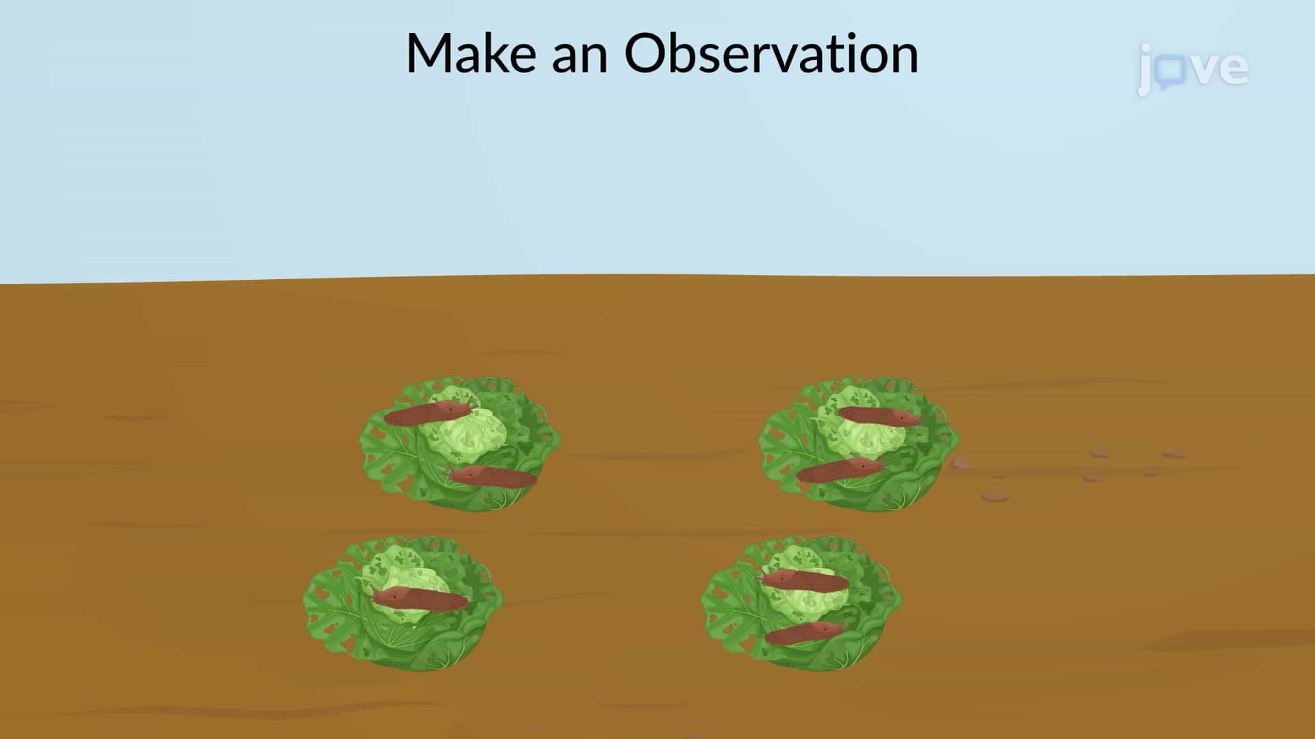 Scientific Method: Observation, Hypothesis and Experiment