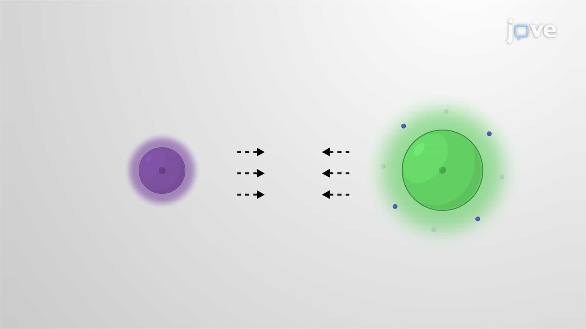 Ionic Bonds and Electrolytes