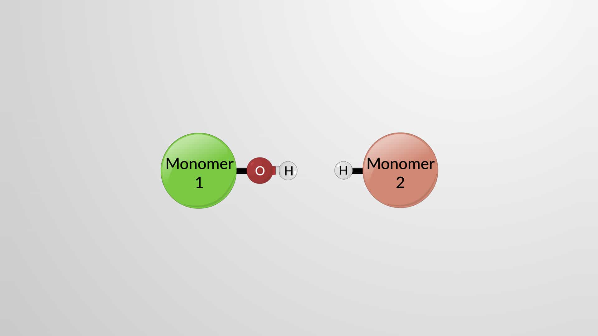 Hydrolysis during Biochemical Reactions
