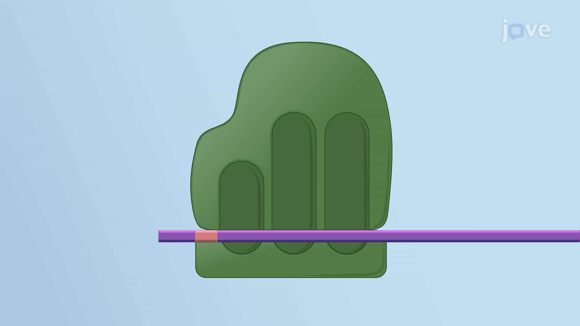 Ribosomes and Translation
