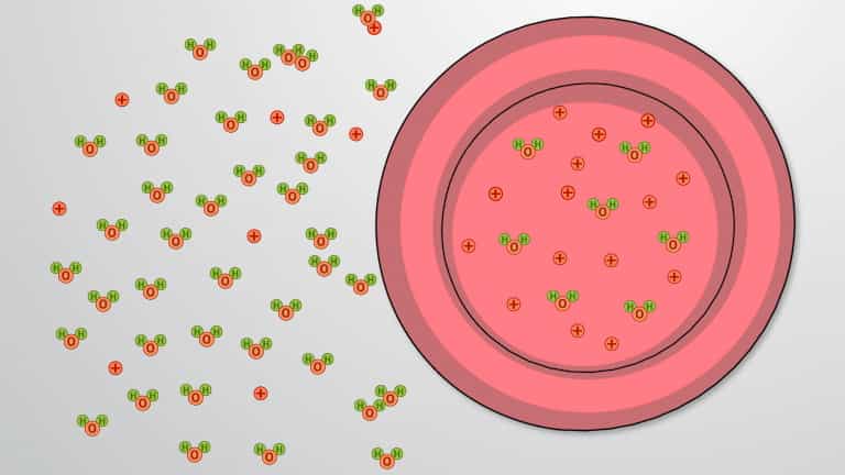Osmolarity, Semi-permeable Membrane and Osmosis