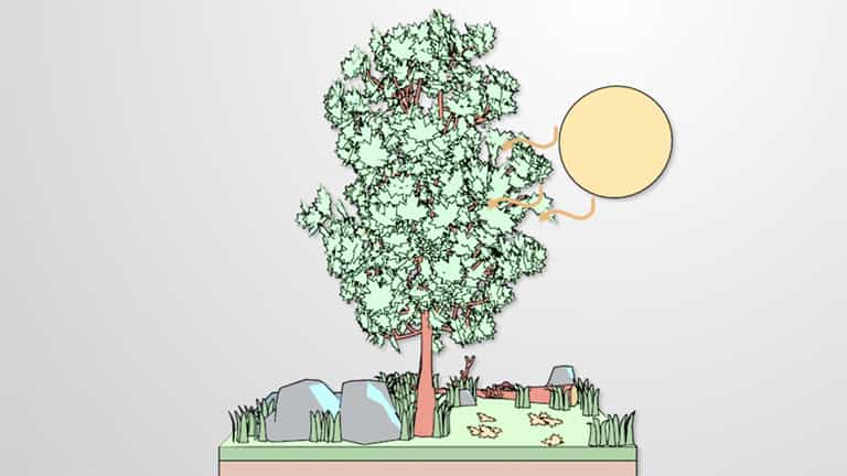 Second Law of Thermodynamics and Entropy