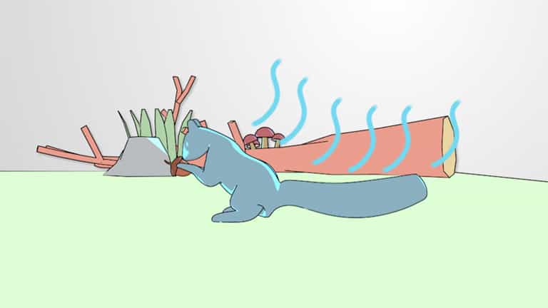 Kinetic Energy in Biological Systems