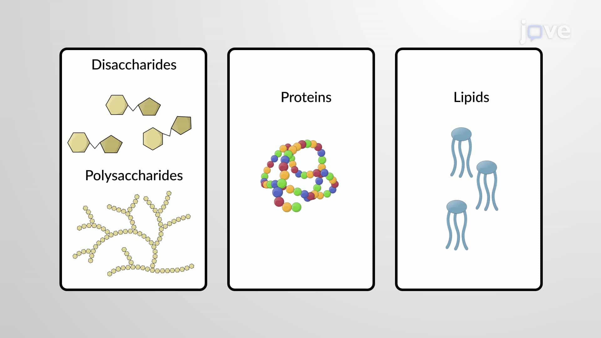 Catabolism of Food constituents - Carbohydrates, Proteins and Lipids
