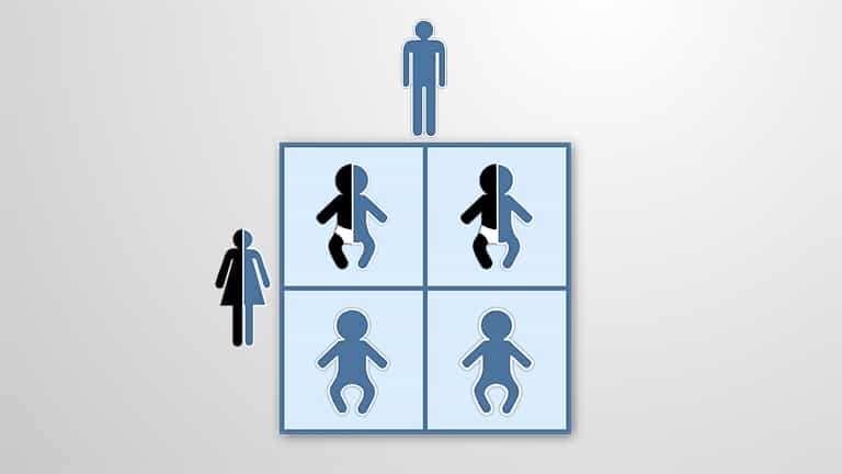 Punnett Squares for Genetic Analyses