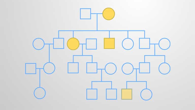Pedigree Analysis and Disease Inheritance