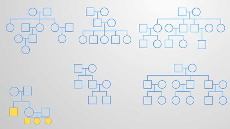 Probability Laws for Inherited Traits