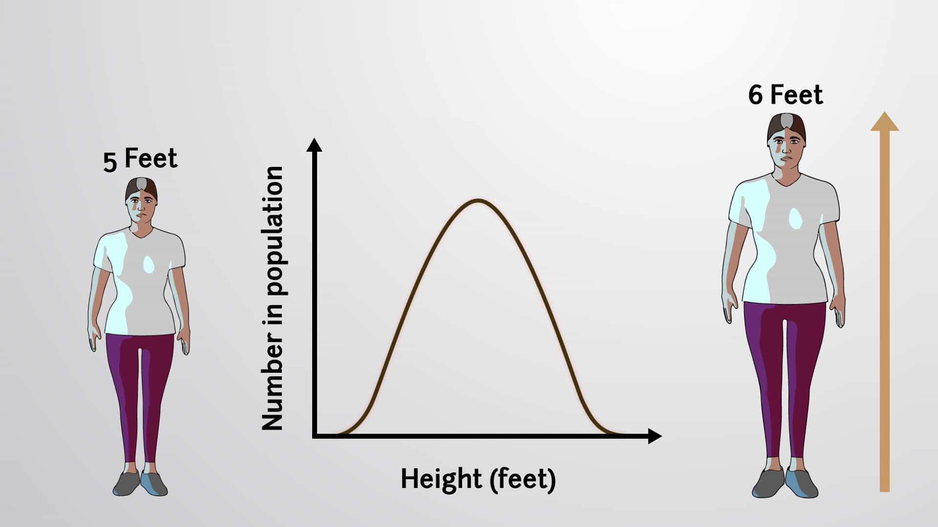 Human Height-a Polygenic Trait