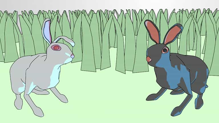Gene Interactions and Epistasis