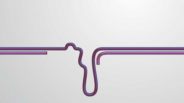 Mutator Protein Family: Key Role in DNA Mismatch Repair