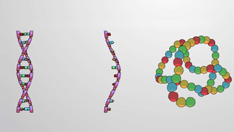The Central Dogma and Genetic Code