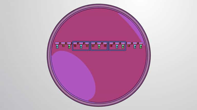 Types of RNA: mRNA, rRNA and tRNA