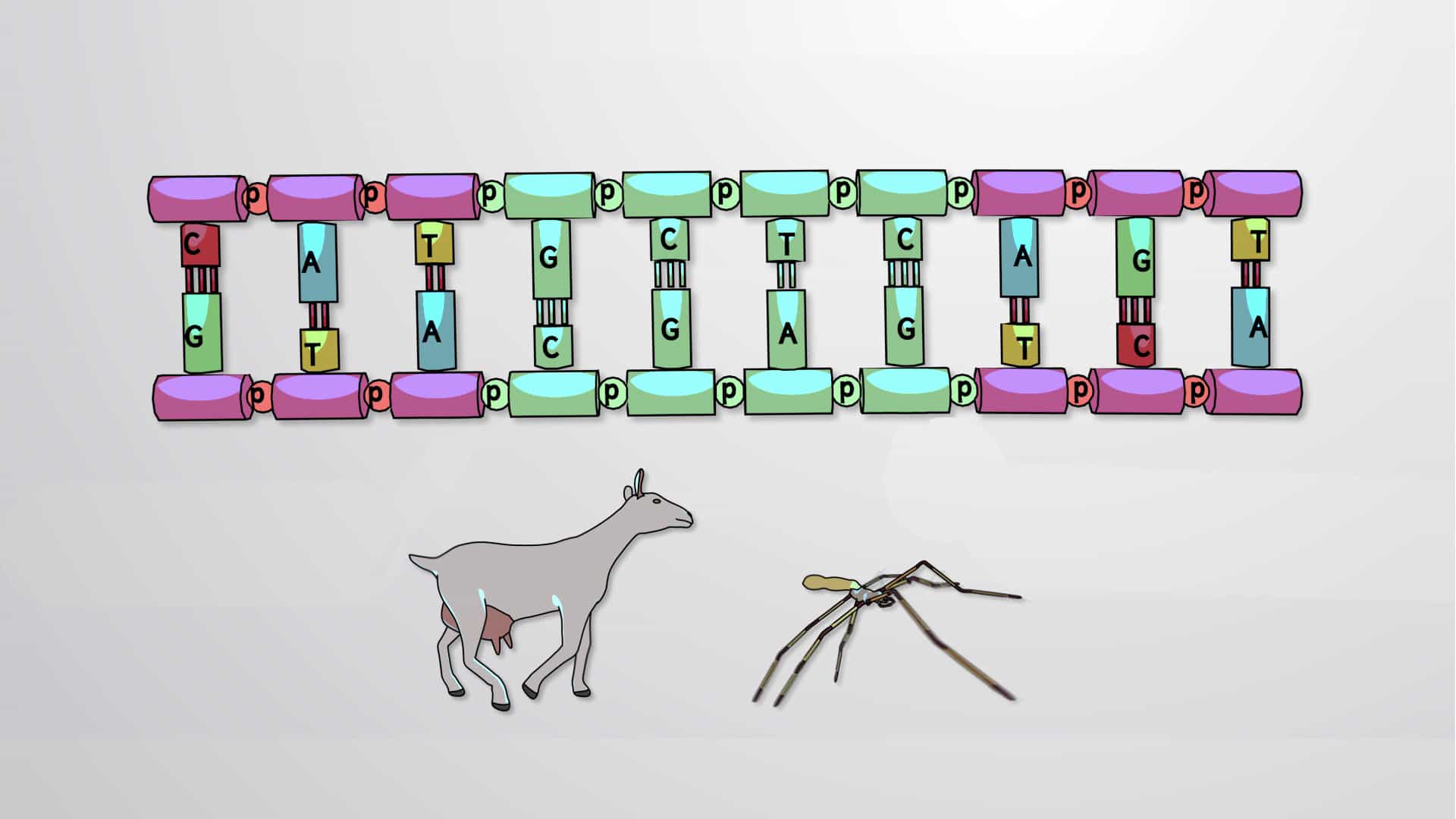 Genetic Engineering, Knockins and Knockouts