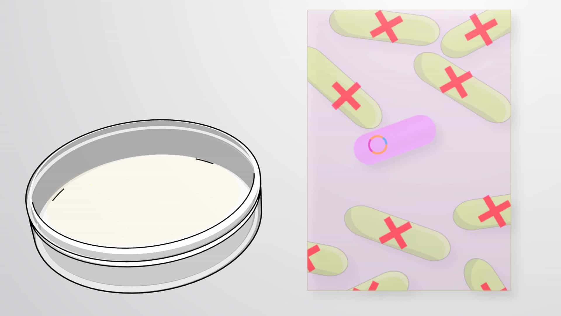 Antibiotic Selection of Plasmids