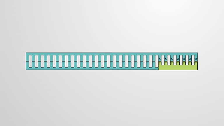 Studying Gene Expression Using Complementary DNA