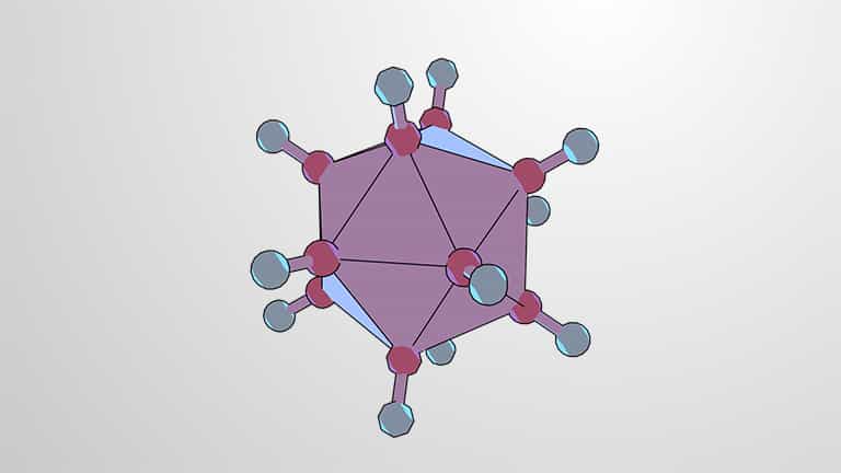Viral Structure: Viral Core and Capsid
