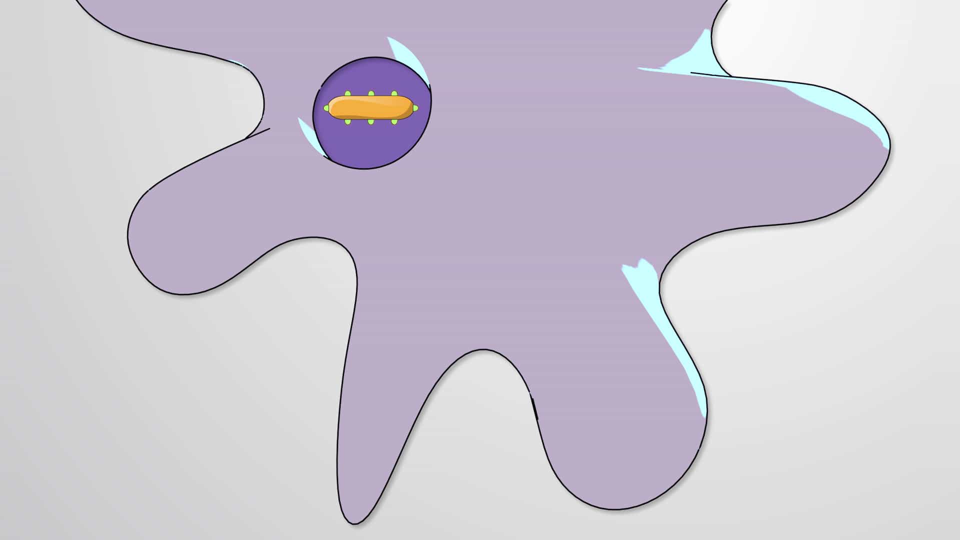 Cell Mediated Immune Response: APCs, MHC and Lymphocytes