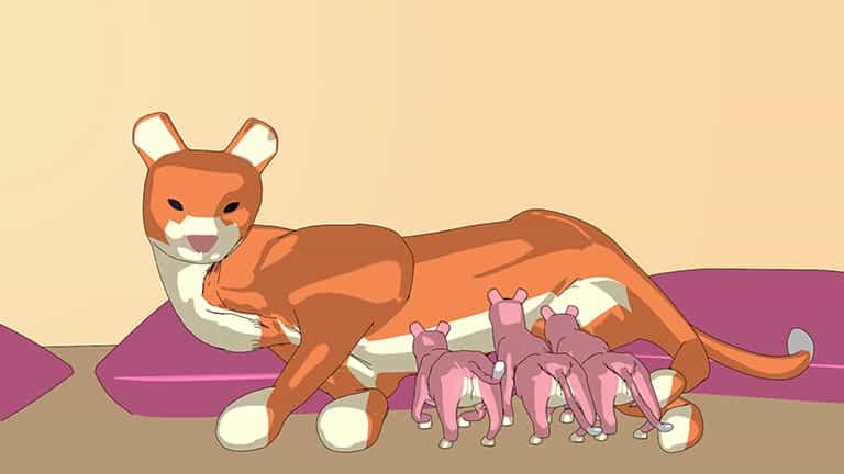 Animal Behavior: Parental Care